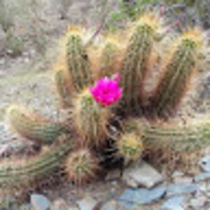 Meet your Posher, Audra